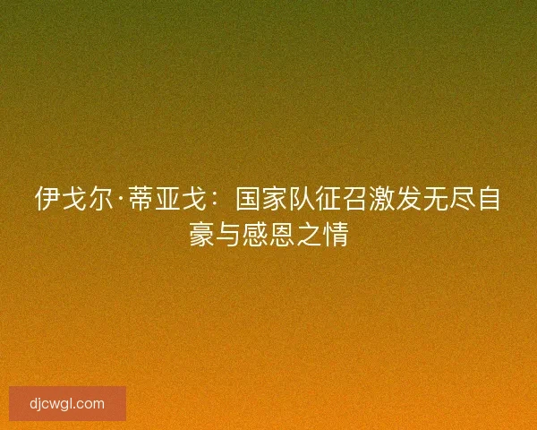 伊戈尔·蒂亚戈：国家队征召激发无尽自豪与感恩之情